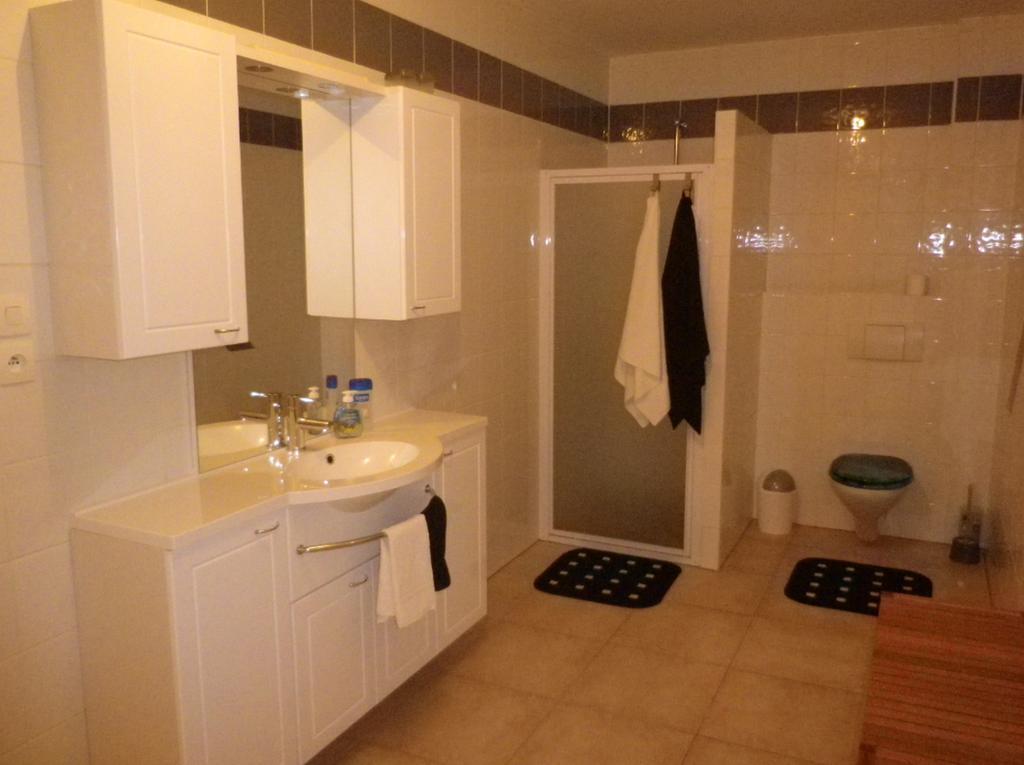 Appartement Celia Wittisheim الغرفة الصورة